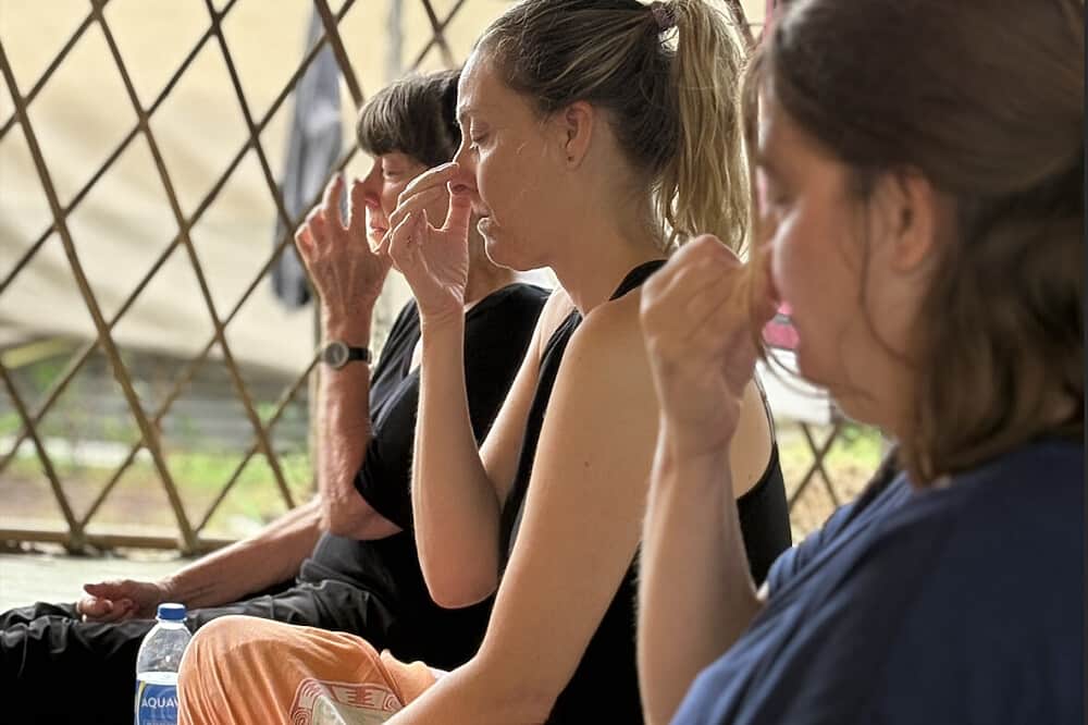 14 Day Healing & Therapeutic Yoga + Ayurveda Retreat in India 2