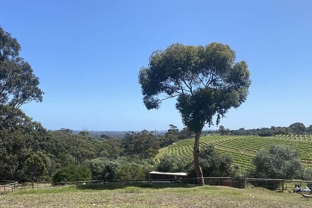 2 Day Horses & Wellbeing: Women's EmPOWERment Retreat, Australia 5