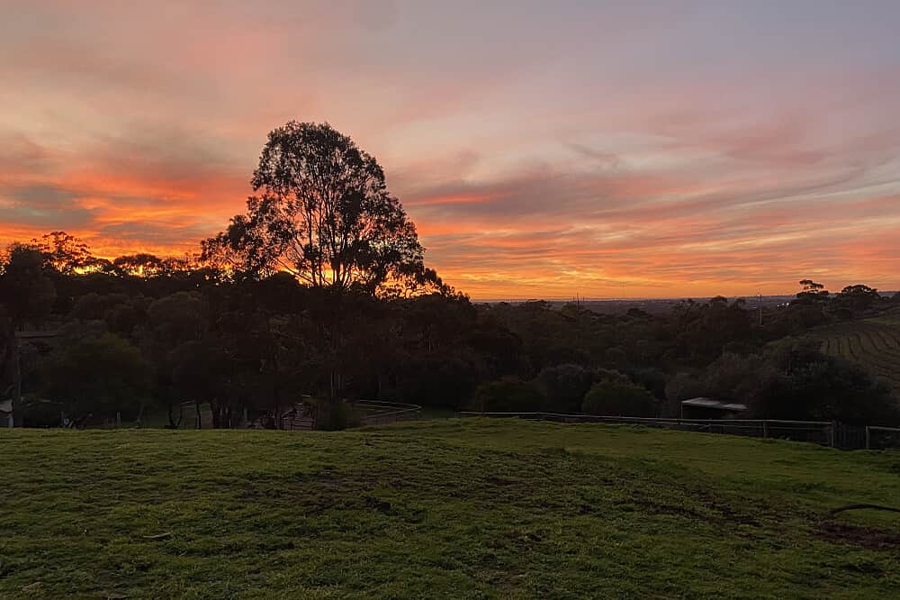 2 Day Horses & Wellbeing: Women's EmPOWERment Retreat, Australia 2