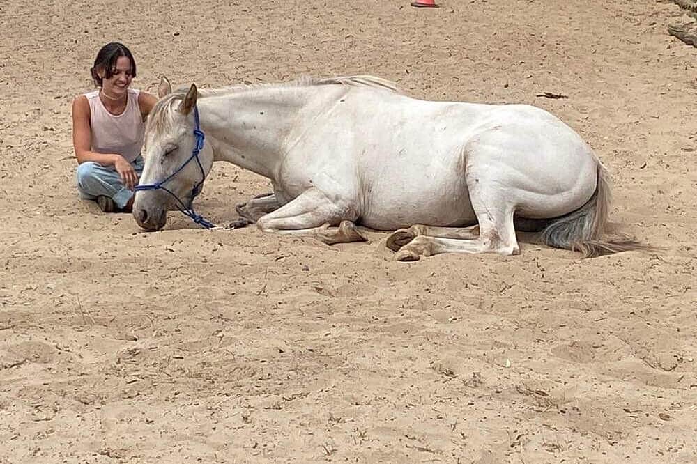 2 Day Horses & Wellbeing: Women's EmPOWERment Retreat, Australia 3