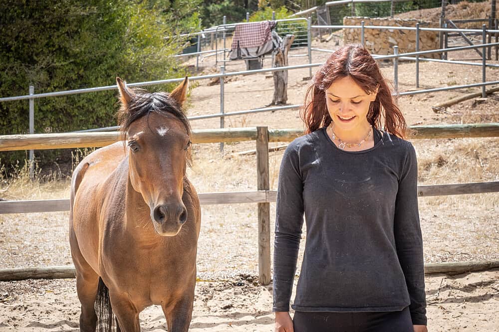2 Day Horses & Wellbeing: Women's EmPOWERment Retreat, Australia 1