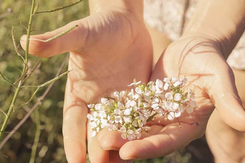 3 Day Psilocybin & Wellness Retreat in Rural Spain 3