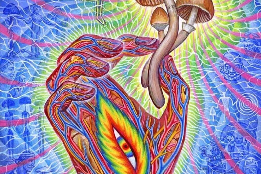 3 Day Psilocybin & Wellness Retreat in Rural Spain 5