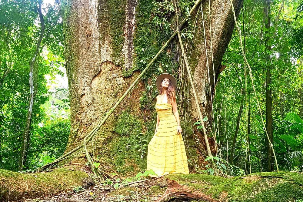 5 Day Selva & Soul - Private Retreat in Costa Rica 5