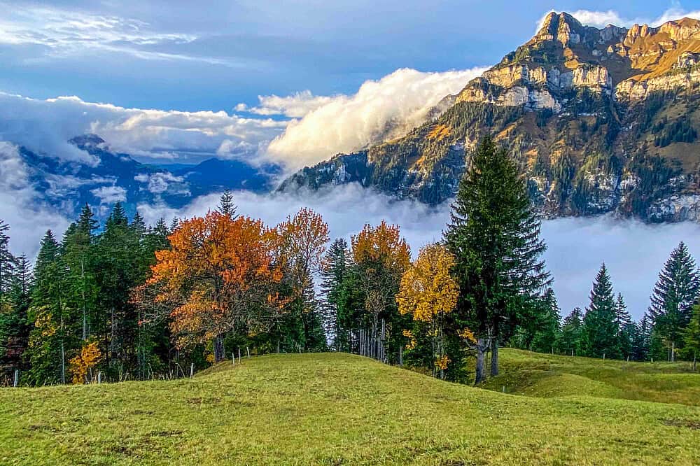 4 Day Mountain Meditation & Mindfulness Retreat in Switzerland 5