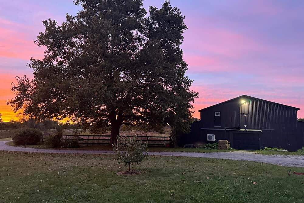 3 Day Ayahuasca Ceremony Weekend in Ann Arbor, Michigan, USA 5