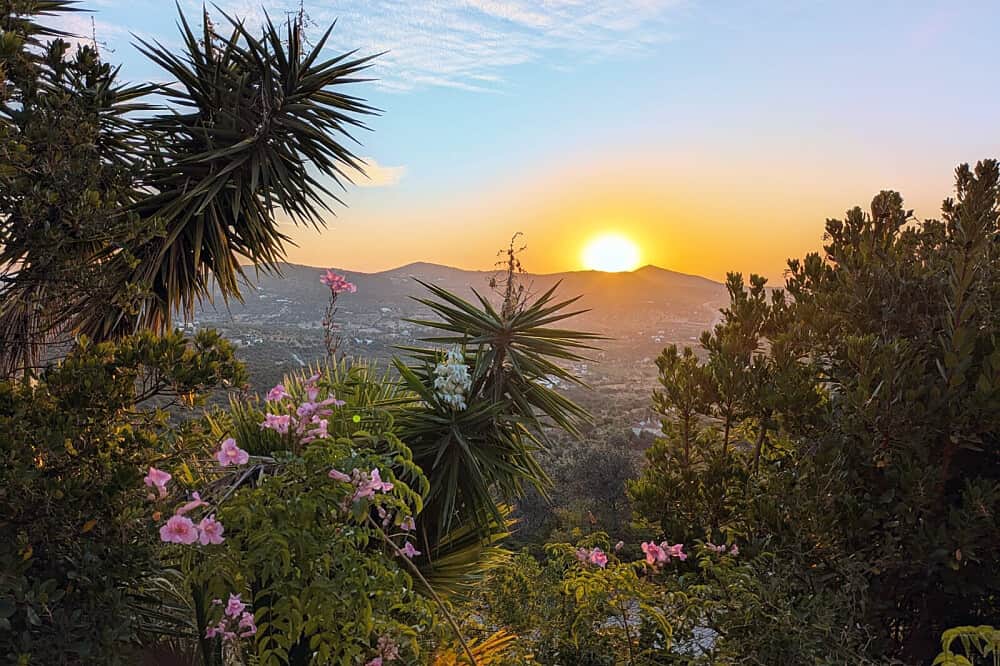 2 Day Private Psilocybin Ceremony in Alcantarilha, Portugal 5