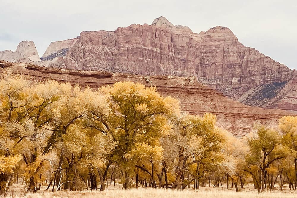4 Day Adventure Retreat in Zion National Park & Page Arizona, US 7