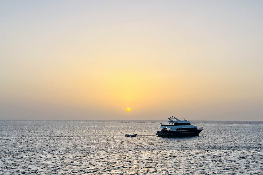 8 Day 'At the Heart of Your Light' Dolphin&Yoga Retreat in Egypt 4