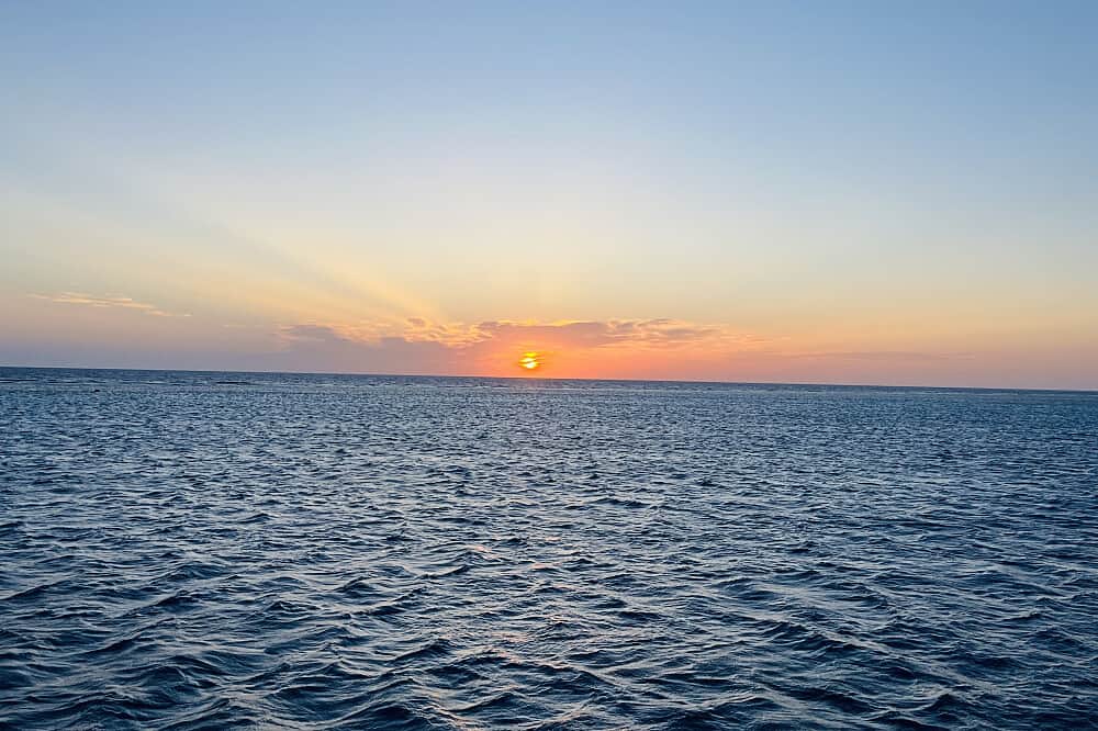 8 Day 'At the Heart of Your Light' Dolphin&Yoga Retreat in Egypt 7