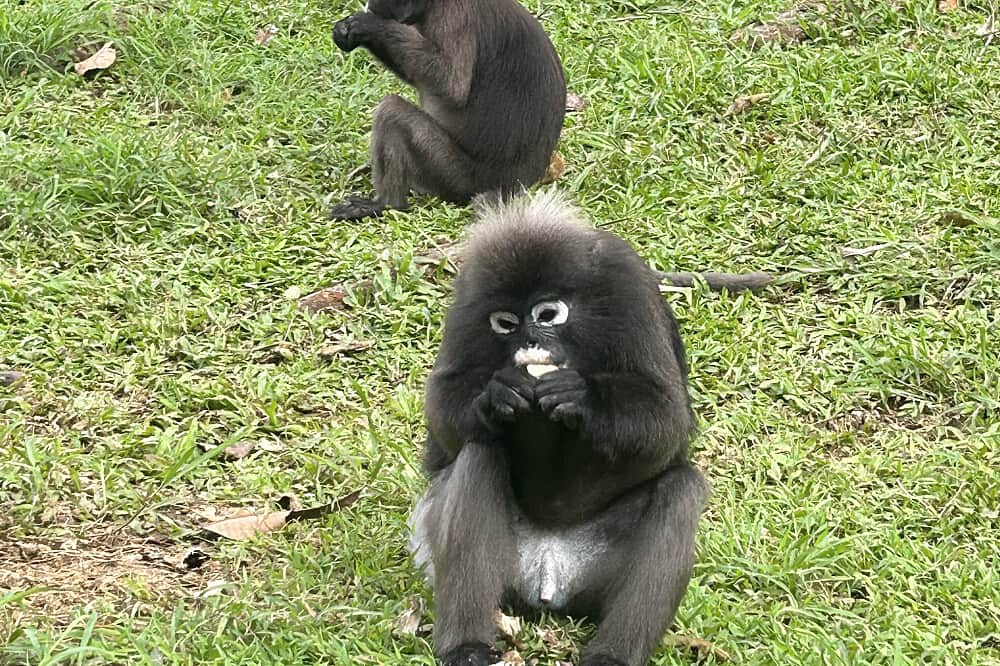 7 Day Divorce & Grief Retreat in Thailand 6