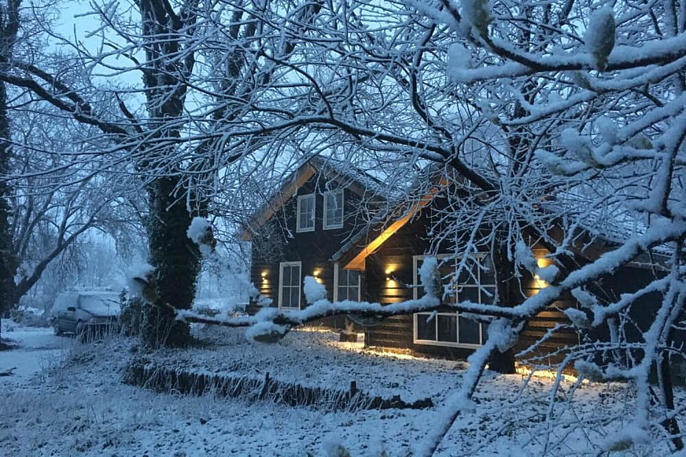 3 Day Ayahuasca Retreat For LGBTQIA+ Community, Netherlands 5