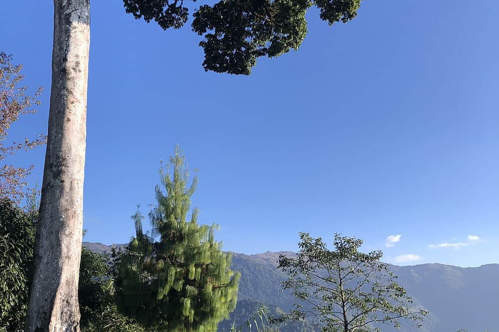 5 Day The Untouched Within : Holistic Retreat in Ilam, Nepal 5