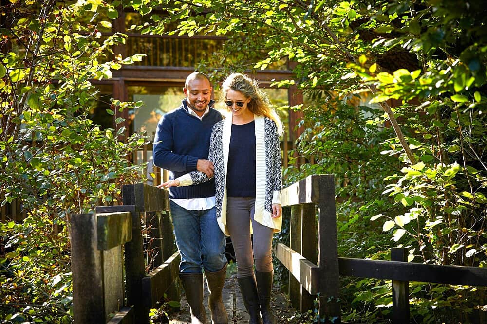 4 Day Nervous System Reset Coaching & Yoga w/Therapist, UK 7