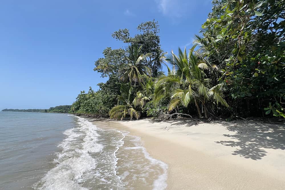 6 Day Private Lemurian Healing & Dolphin Retreat, Costa Rica 7