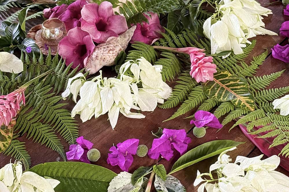 6 Day Private Lemurian Healing & Dolphin Retreat, Costa Rica 5