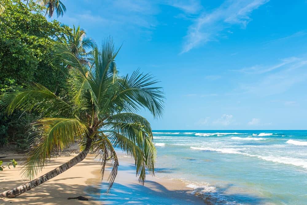 6 Day Private Lemurian Healing & Dolphin Retreat, Costa Rica 4