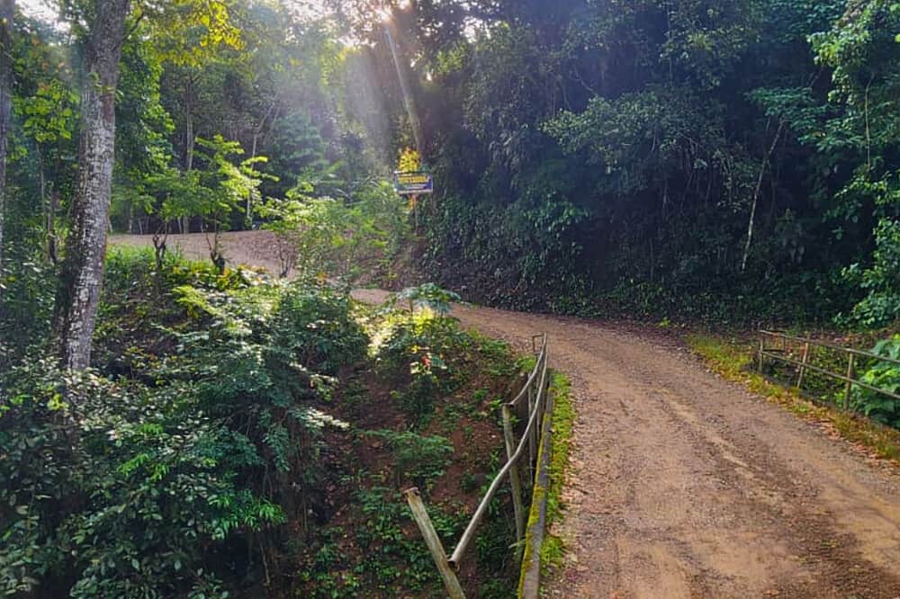 6 Day Private Transformational Retreat in San Lorenzo, Costa Rica 4