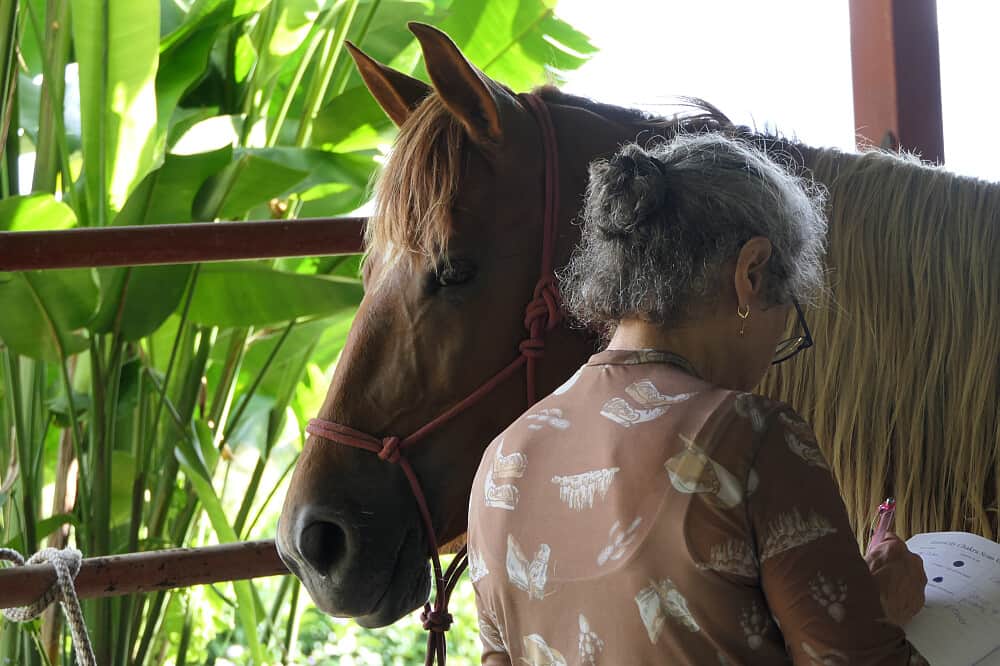 6 Day Private Transformational Retreat in San Lorenzo, Costa Rica 6