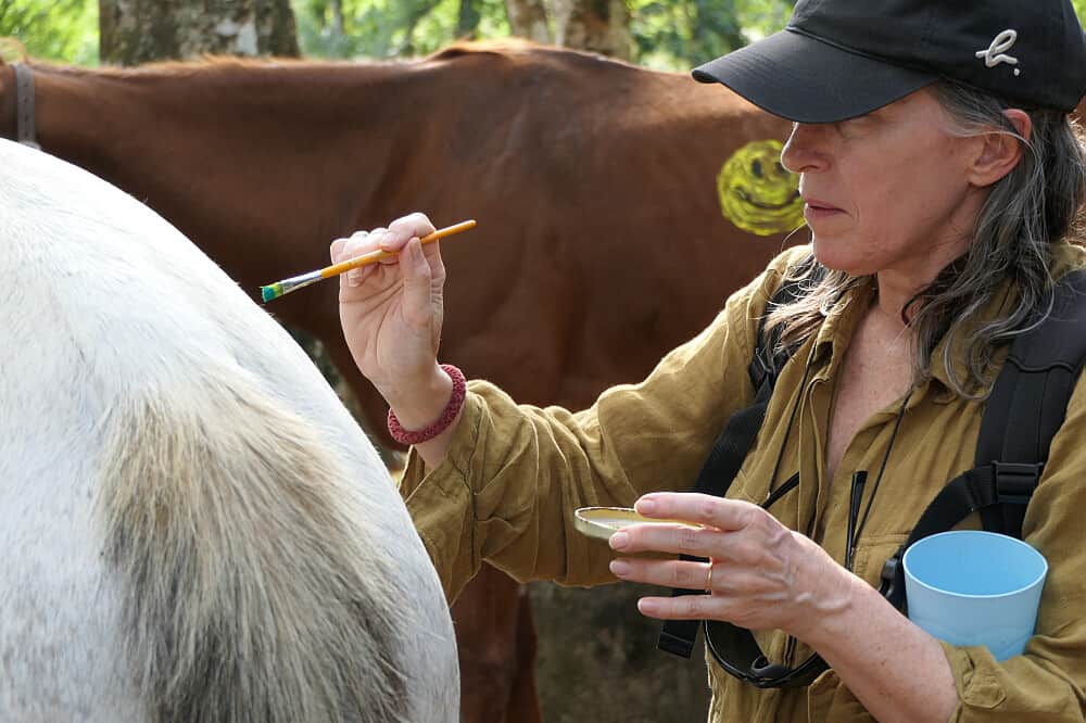 6 Day Private Transformational Retreat in San Lorenzo, Costa Rica 1