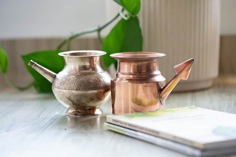 5 Day Heart of Bhakti: Sacred Yoga & Ayurvedic Immersion in India 3