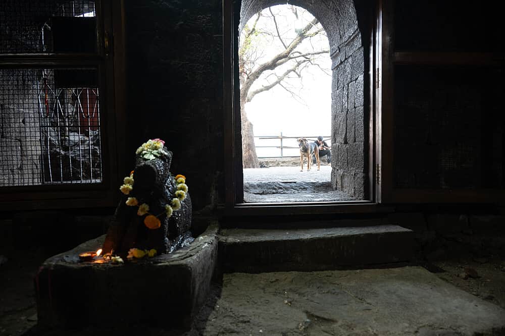 5 Day Heart of Bhakti: Sacred Yoga & Ayurvedic Immersion in India 1