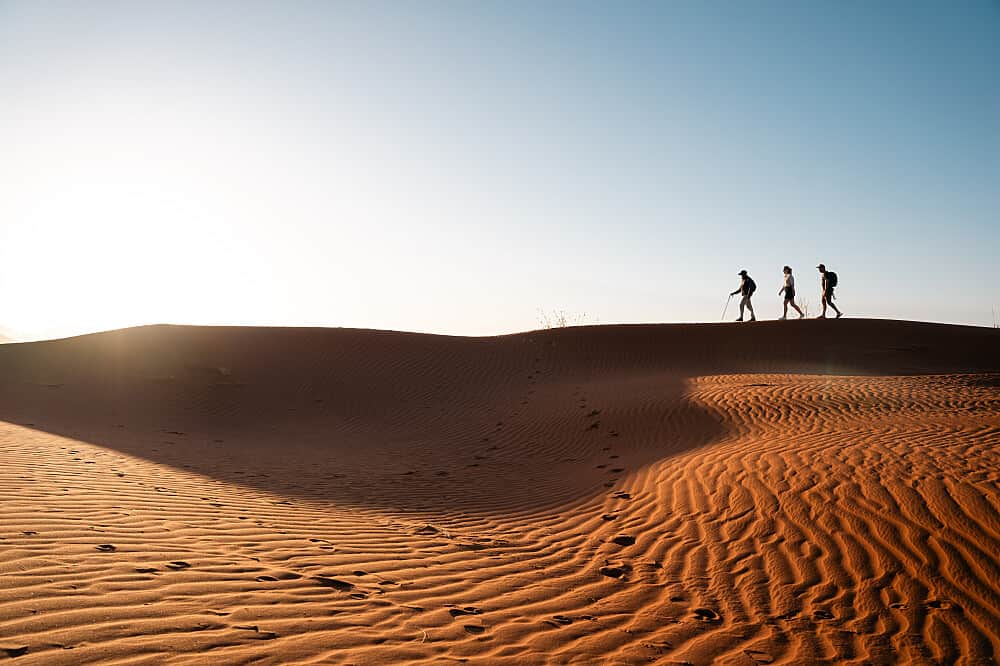 4 Day Soul Connection: A Desert Safari Retreat in Namibia 4