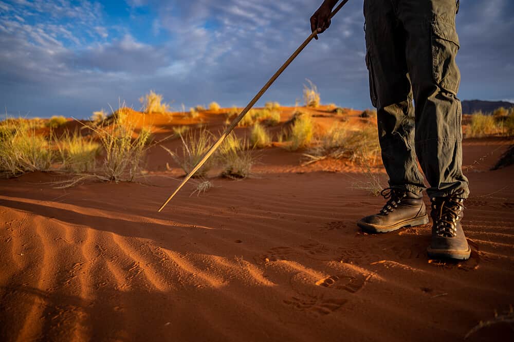4 Day Soul Connection: A Desert Safari Retreat in Namibia 7