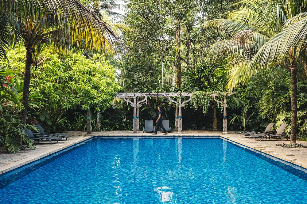 6 Day Artist Retreat: to Create in Kerala, India 2