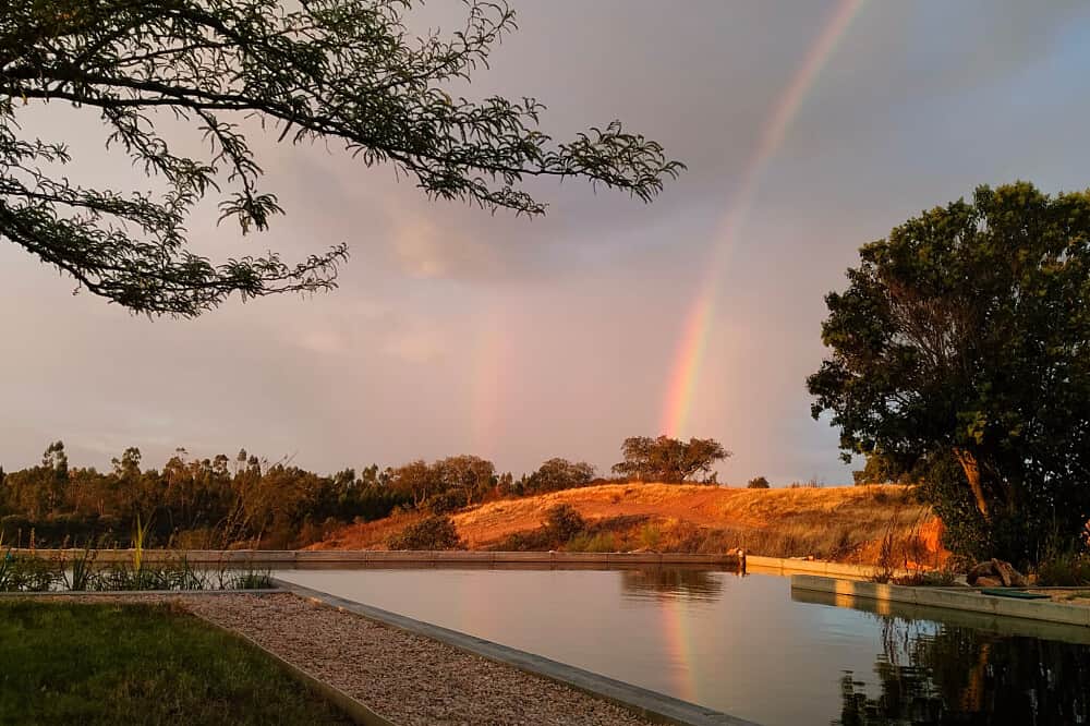 5 Day Embodied Self Women’s Retreat in Portugal 8