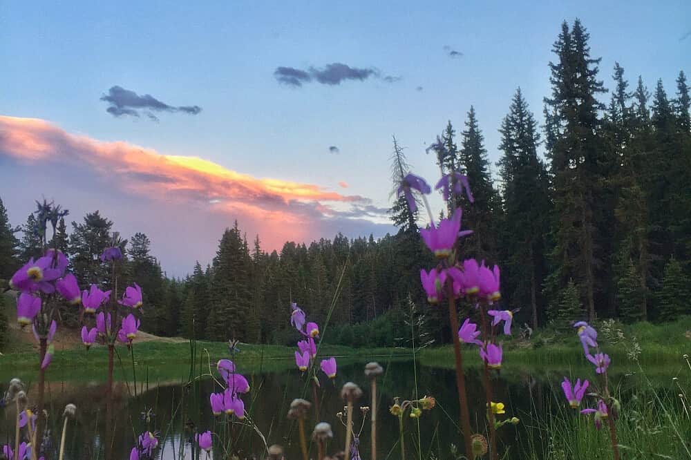 3 Day Camping & Bodywork Retreat in the Colorado Mountains, USA 2