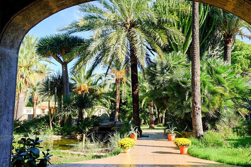 6 Day Yoga & Meditation: Change Ourselves & The World in Spain 3