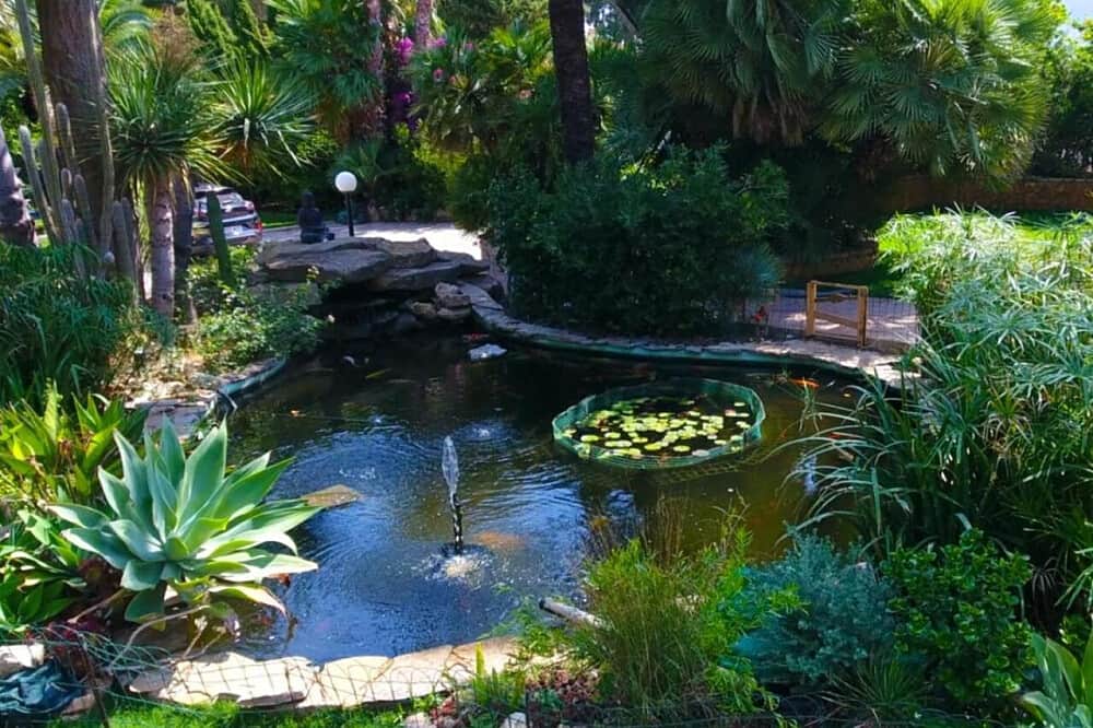 6 Day Yoga & Meditation: Change Ourselves & The World in Spain 2