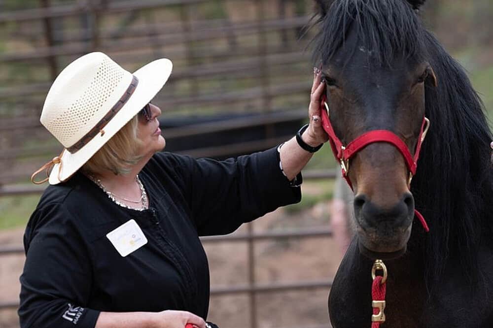 4 Day Mountaintop Private Couples Retreat with Mustangs in CO, US 8