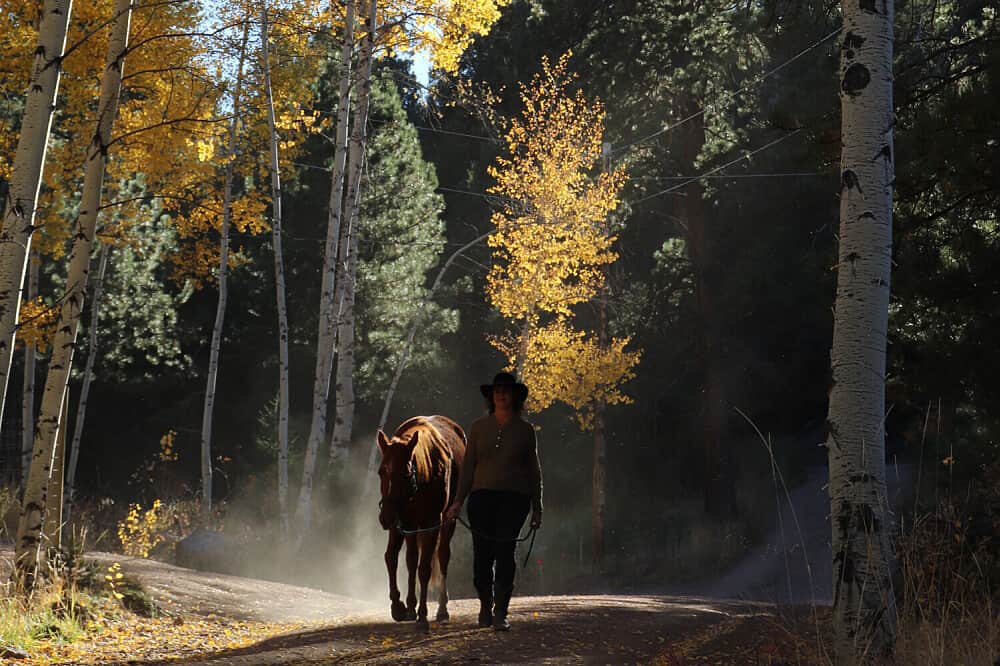 6 Day Private Family Connection Retreat with Horses in CO, US 2