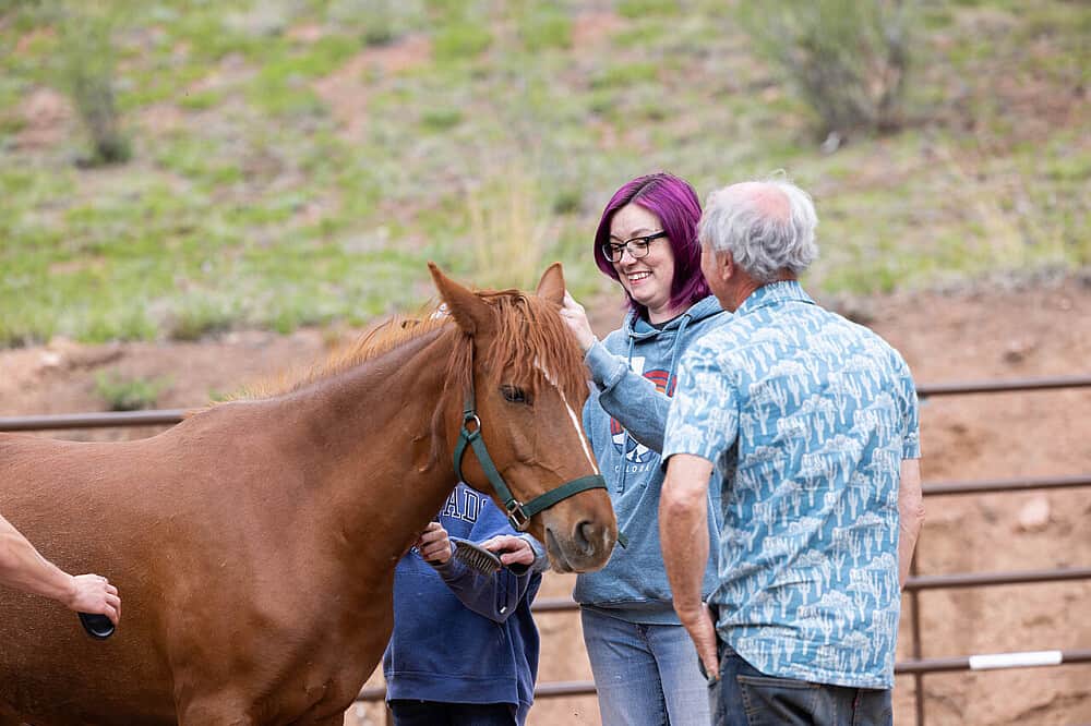 6 Day Private Family Connection Retreat with Horses in CO, US 3