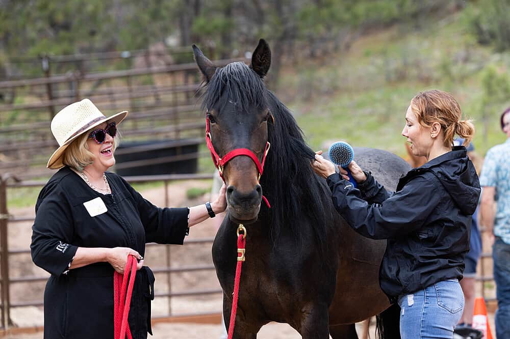 6 Day Private Family Connection Retreat with Horses in CO, US 1