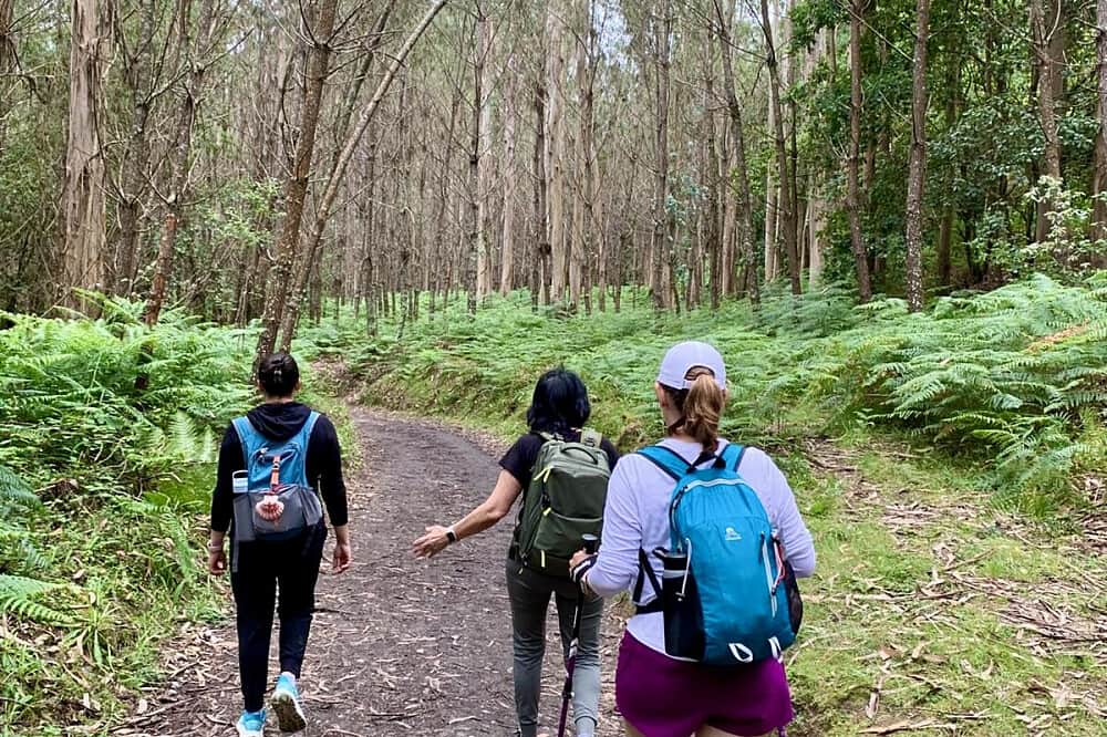 8 Day Mindfully Guided Portuguese Coastal Camino In Spain 8