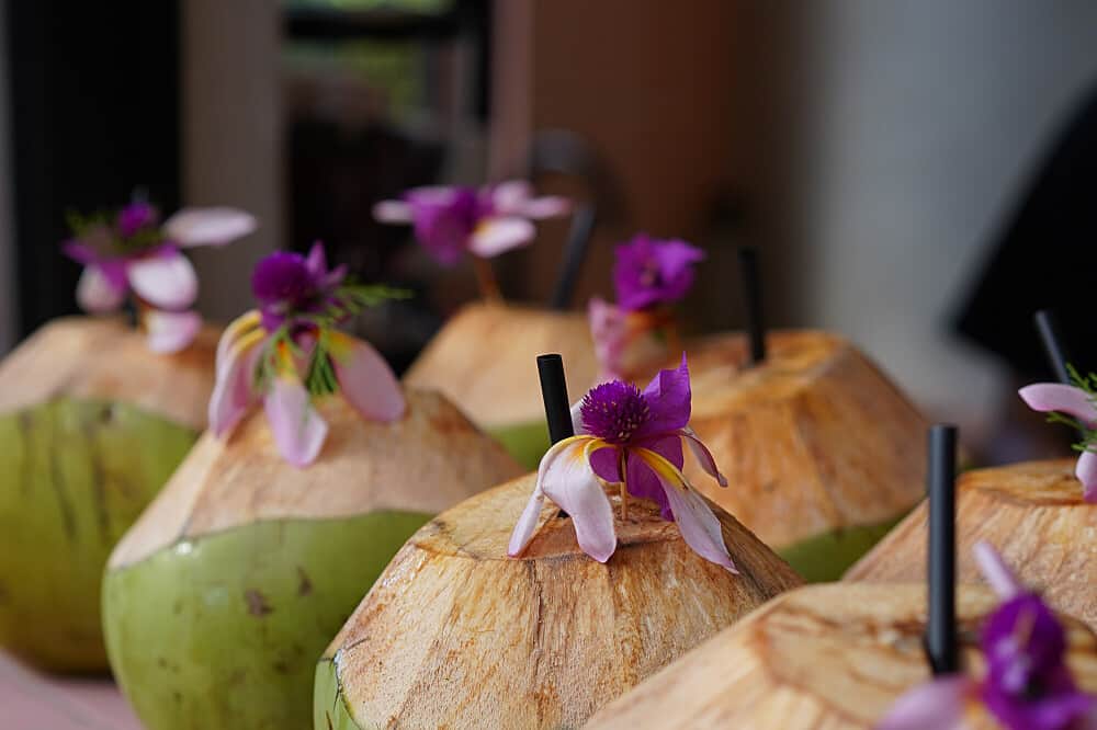 6 Day Reformer & Mat Pilates Retreat Ubud, Bali 2