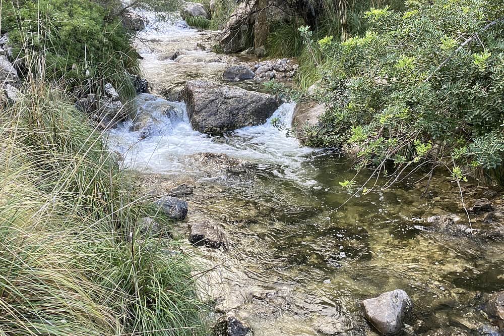 5 Day New Year's Retreat: Manifest and Flow, Mallorca, Spain 6