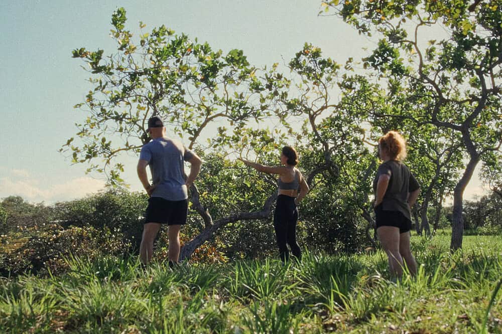 6 Day Grow Existential Courage: Personal Growth Retreat, Panama 8