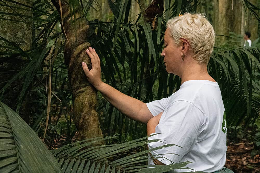 23 Day 200 Hour Level 1 Qi Gong Teacher Training in Ubud, Bali 5