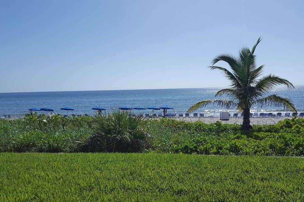 8 Day Wellness Support, Liver & Kidney Detox Retreat in Florida 2