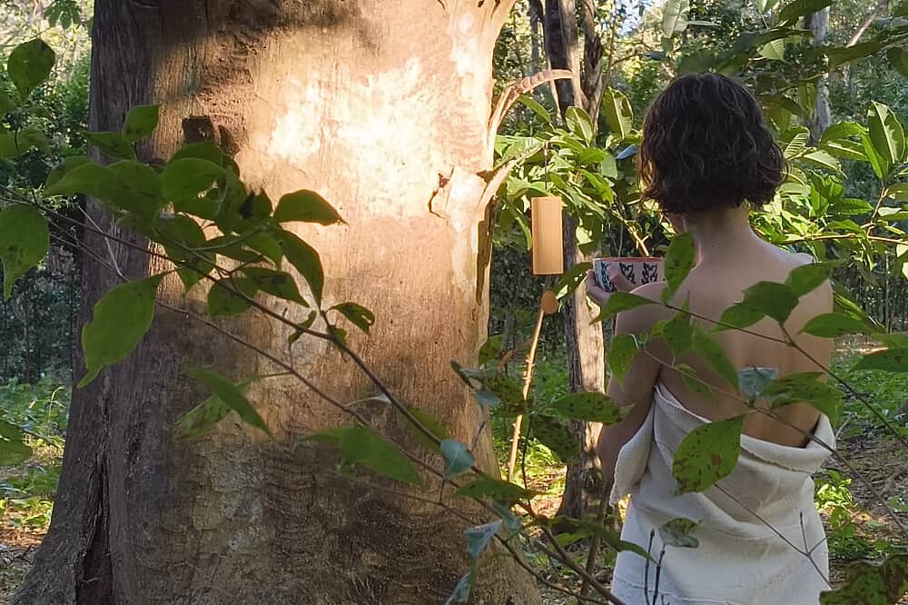 6 Day Private Retreat: Nervous System Reset in Costa Rica 8