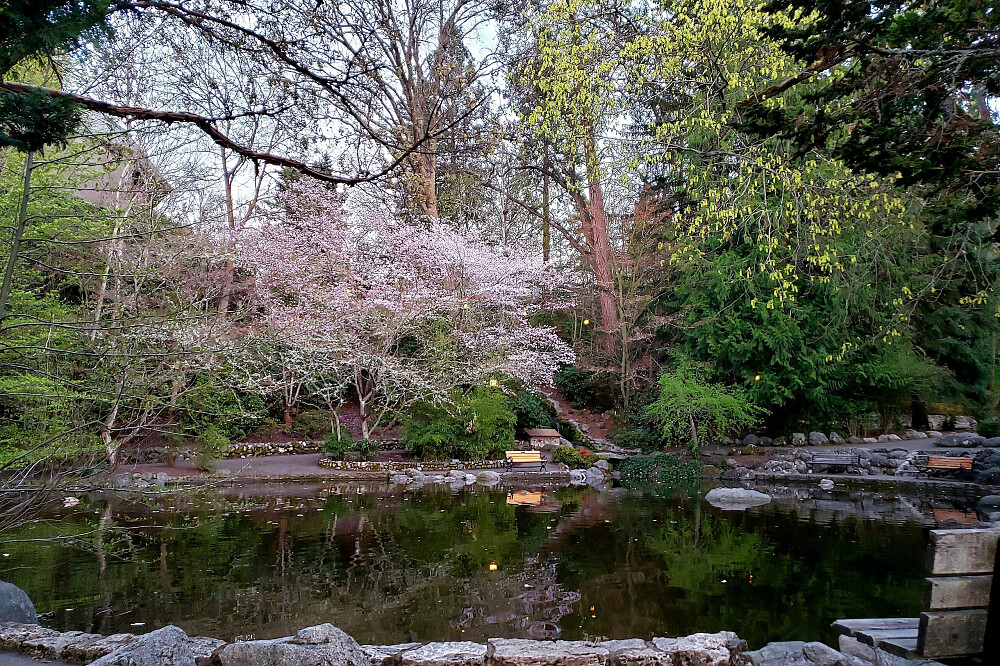 4 Day Plant Medicine Couple's Retreat in Ashland, Oregon 5