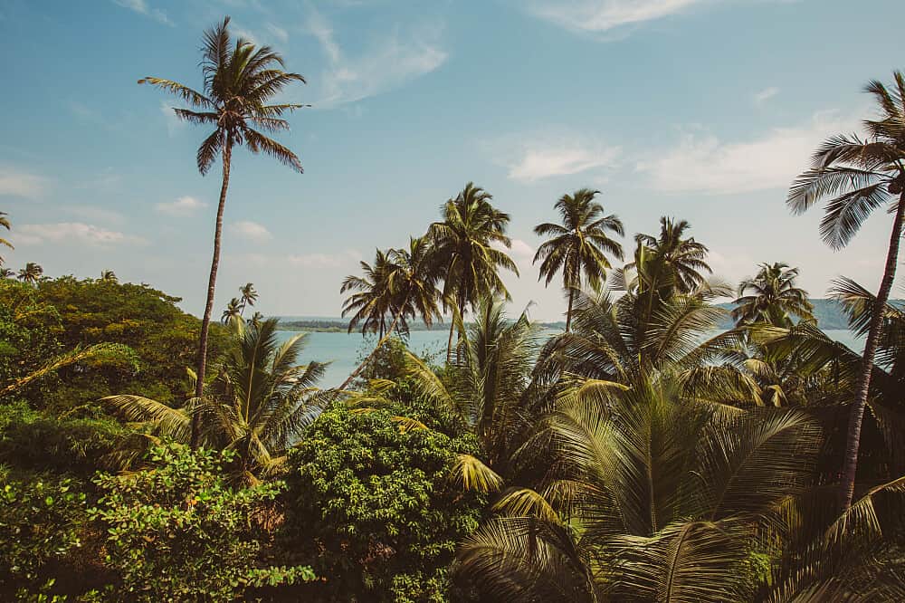 4 Day The Inner Homecoming Retreat in Goa, India 5