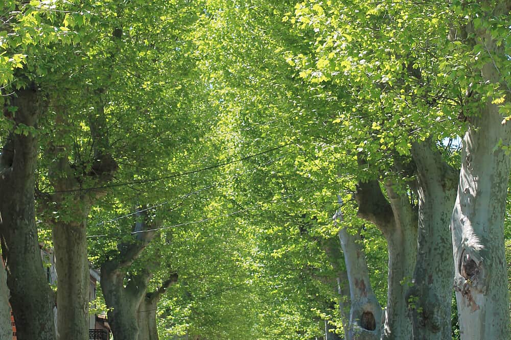 5 Day Coming Home: Root, Rise and Renew Retreat in France 5