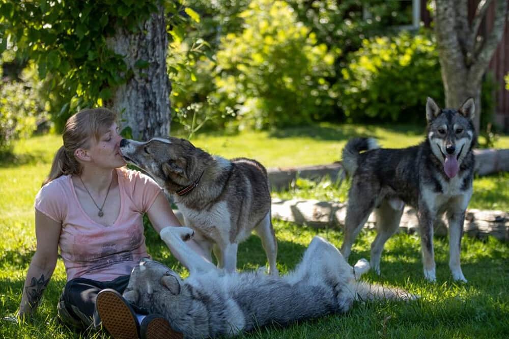 7 Day Adventure and Nature-Based Mentoring Retreat in Sweden 8