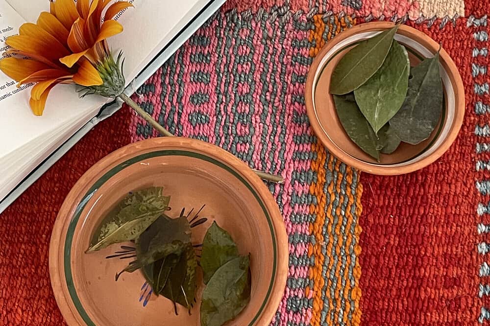 8 Day Emotions & Sensations Retreat in Cusco, Peru 6