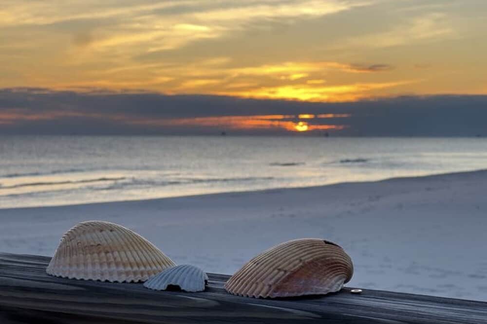 7 Day Water Fast in Golf Shores, Alabama, USA 6